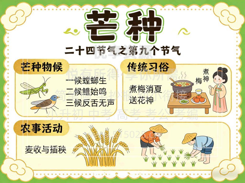 图片[1]-芒种 儿童校园手抄报模板 小学必备 可直接打印