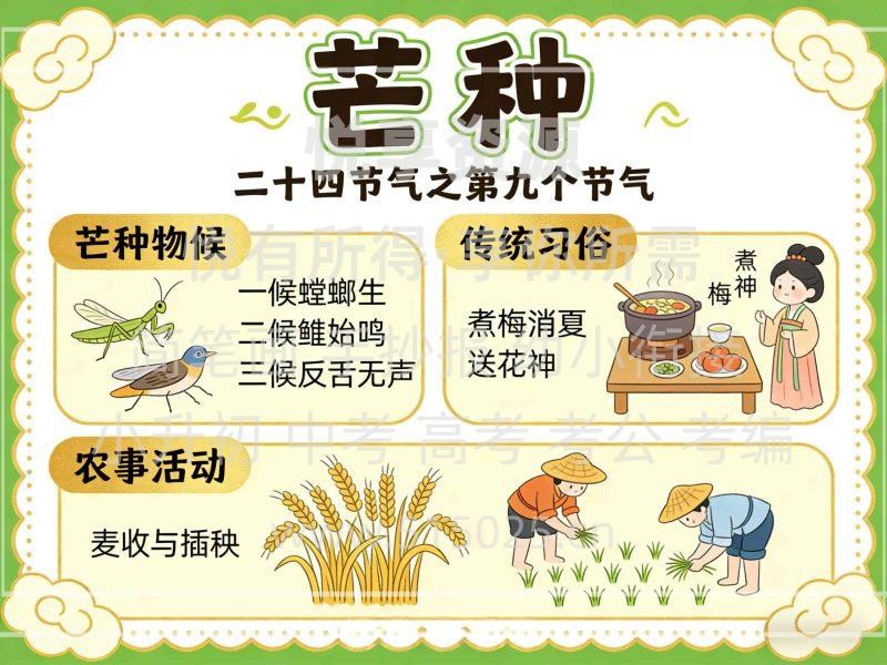 芒种 儿童校园手抄报模板 小学必备 可直接打印-悦享资源