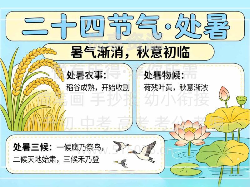 二十四节气 处暑 儿童校园手抄报模板 小学必备 可直接打印-悦享资源
