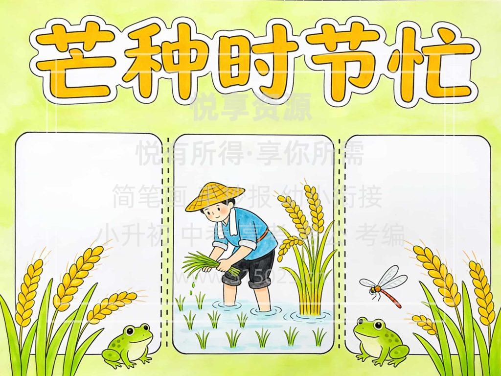 图片[2]-芒种时节忙 儿童校园手抄报模板 小学必备 可直接打印