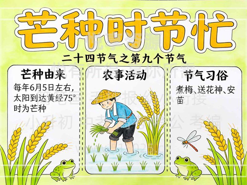 芒种时节忙 儿童校园手抄报模板 小学必备 可直接打印