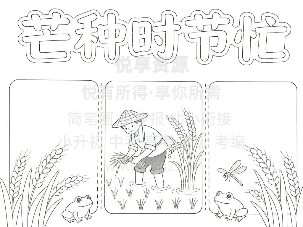 图片[3]-芒种时节忙 儿童校园手抄报模板 小学必备 可直接打印